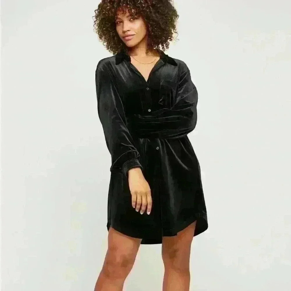 NWOT Anthropologie Gentle Fawn velvet shirt dress